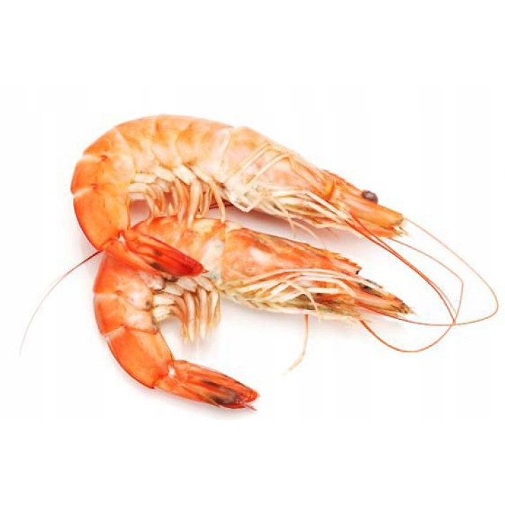 Wiejska Zagroda Karma dla kota JAGNIĘCINA z KRYLEM 1,6kg sterylizowane