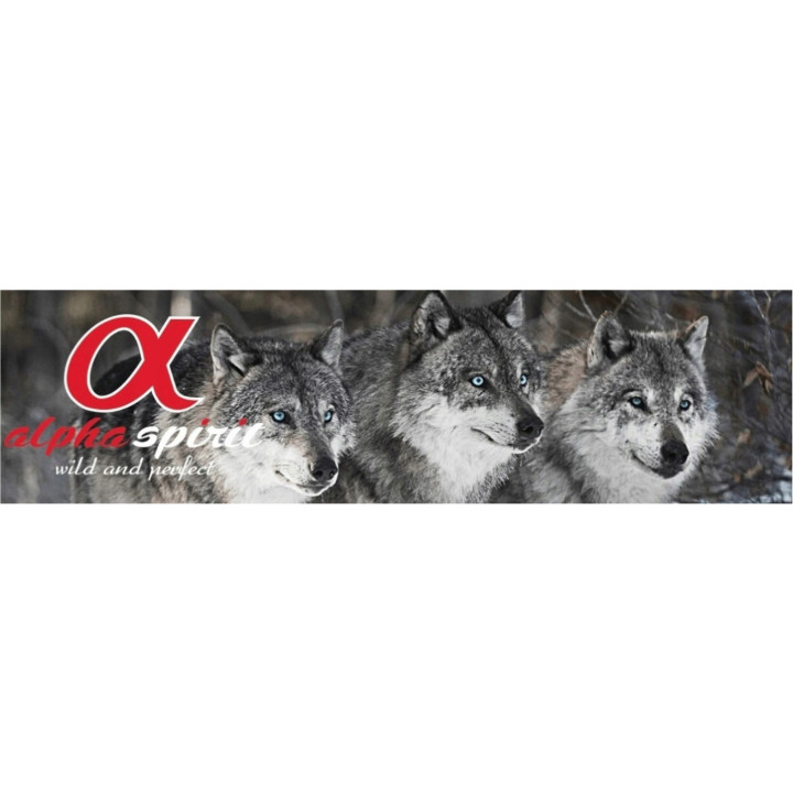 Smaczny Przysmak dla psa ALPHA SPIRIT Chicken Sticks KURCZAK Paluszek 10g