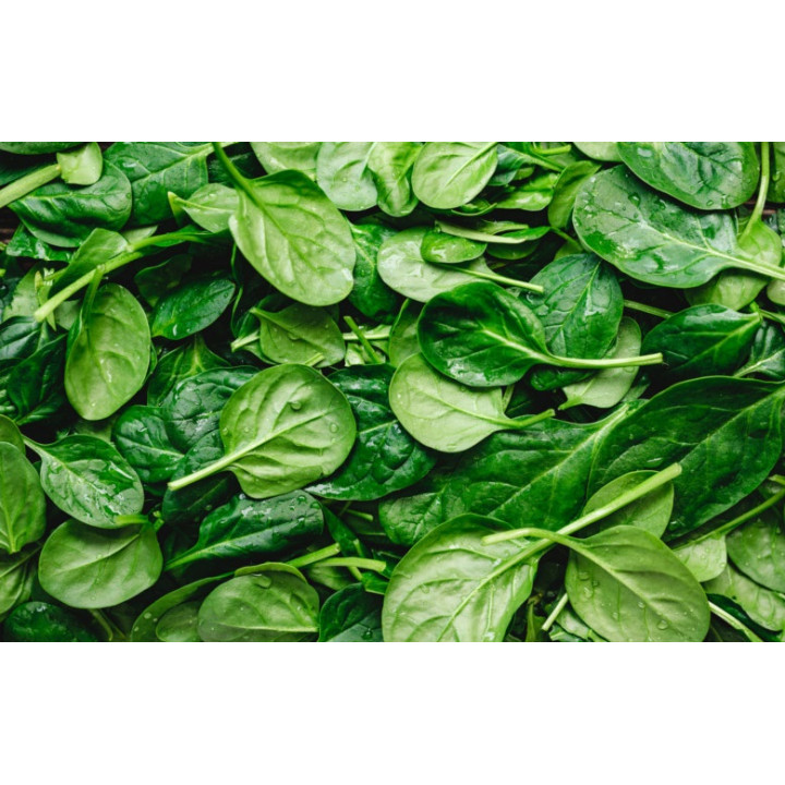 Wiejska Zagroda Sucha Karma JAGNIĘCINA SZPINAK małe rasy szczeniak S 2kg