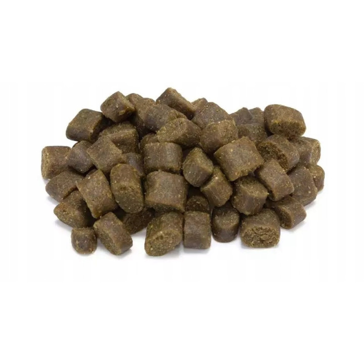 PRÓBKA Półwilgotna karma dla Psa ARQUIVET Fresh OCEAN FISH ryba 100g