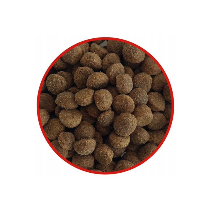 Karma sucha średnie duże rasy psa BIOFEED TASTY DOGS LIFE z WOŁOWINĄ 3kg