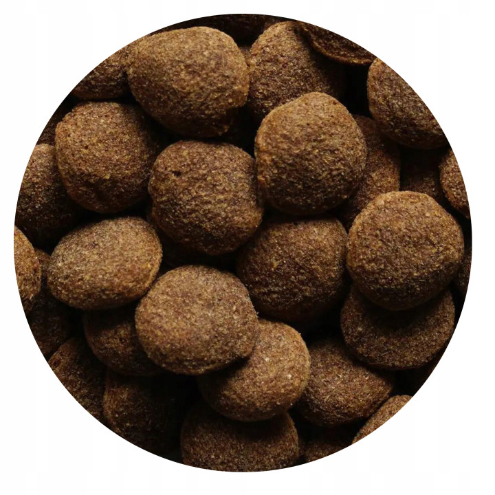 Karma sucha dla psa średnie duże rasy BIOFEED NASZ PIES z wołowiną 15kg