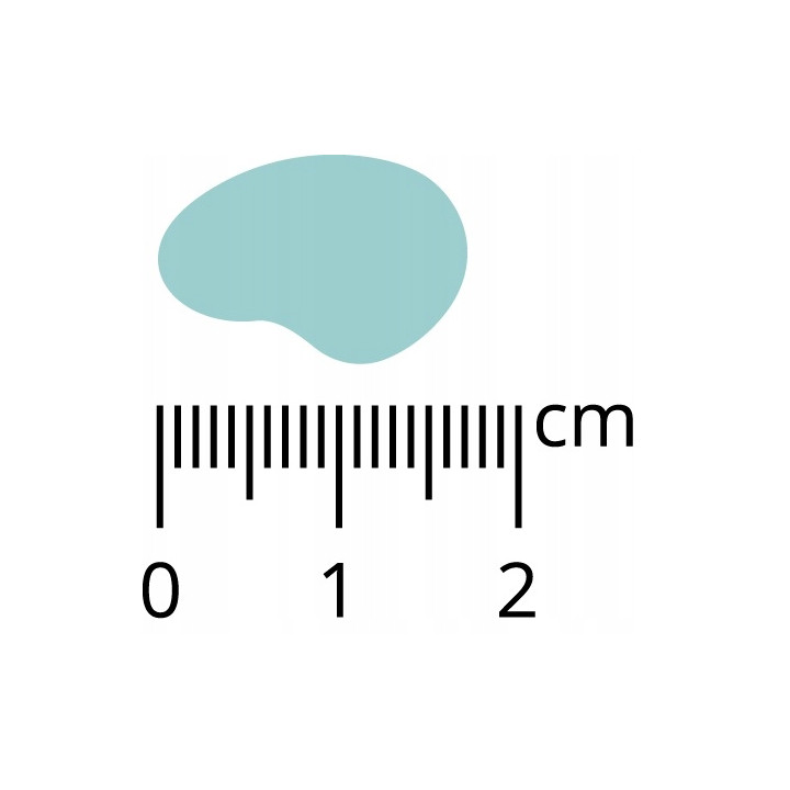 Pan Mięsko Karma sucha dla psa HIPOALERGICZNA Wieprzowina z Dzikiem 3 kg XL