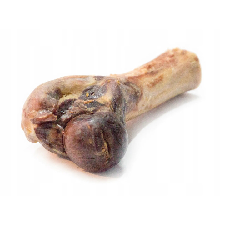 ALPHA SPIRIT KOŚĆ dla psa Mała Noga Szynkowa NR 3