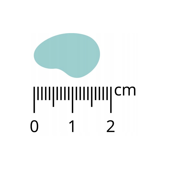 Pan Mięsko Sucha Karma HIPOALERGICZNA dla psa CIELĘCINA z INDYKIEM XL 3kg