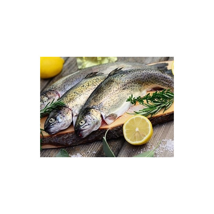 Sucha karma dla kota Pan Mięsko KURCZAK z PSTRĄGIEM HIPOALERGICZNA 5 kg S