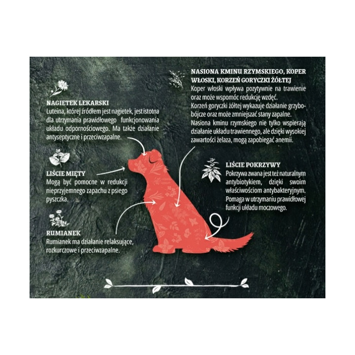 Pan Mięsko Karma sucha hipoalergiczna z Ziołami Wołowina z królikiem M 3kg