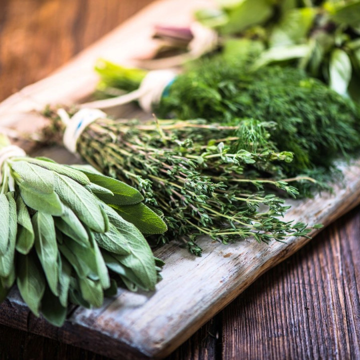 Pan Mięsko Karma sucha dla psa z Ziołami Indyk z Krewetkami chrupki XL 20kg