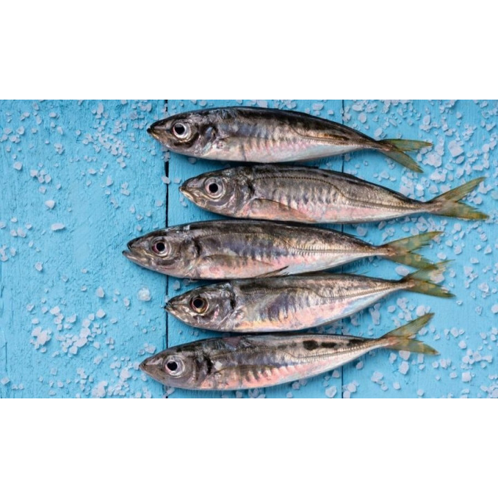 PRIMAL SPIRIT Sucha MIĘKKA karma dla psa WANDERLUST 70% Kurczak Ryby 1 kg