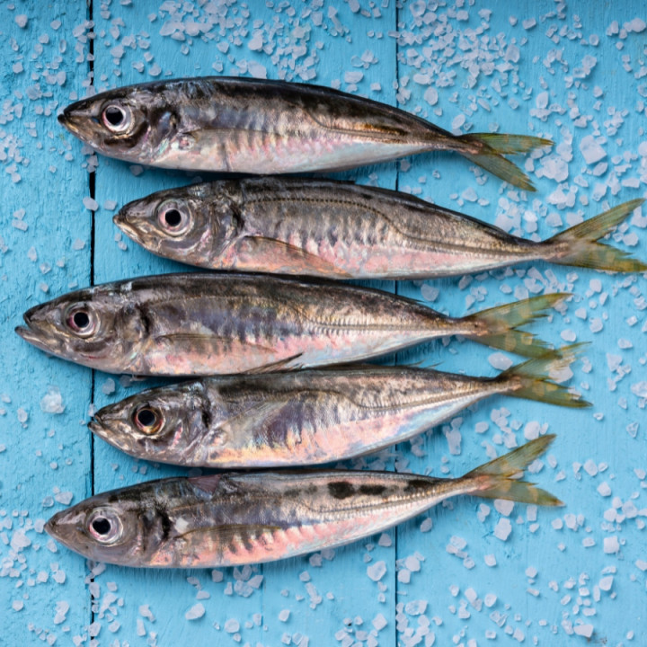 Sucha karma dla psa HIPOALERGICZNA Alpha Spirit Multiprotein 12kg