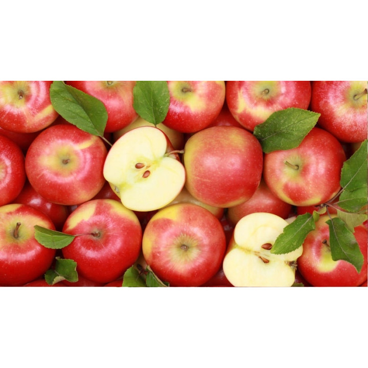 Wiejska Zagroda Sucha Karma INDYK z JABŁKIEM średnie rasy szczeniak M 2kg