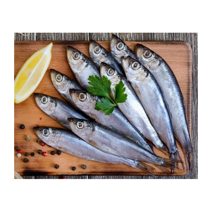 Karma Alpha Spirit Wild Fish RYBA 10x 200g sucha Półmiękka monobiałkowa